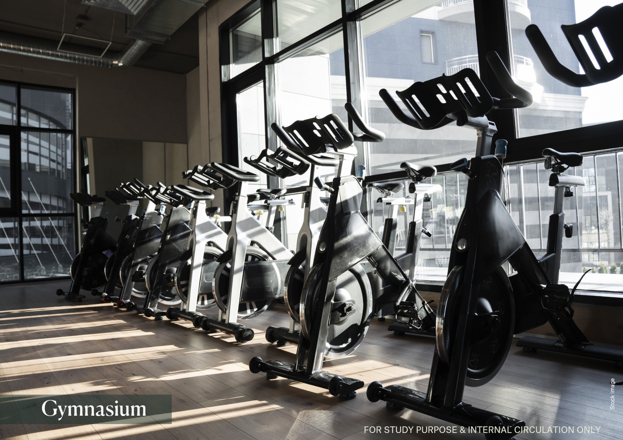 Sports & Recreation